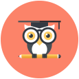 industry6 Virtual Mentoring