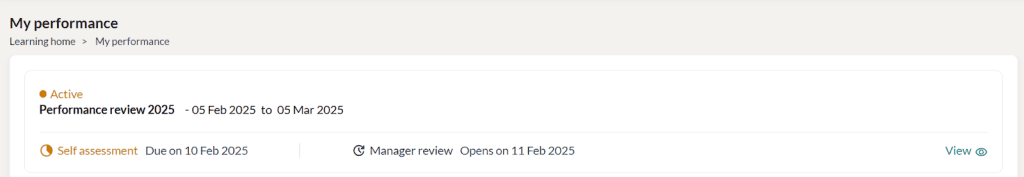 Creating Performance Review 13